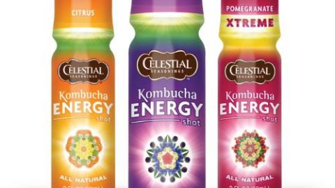 kombucha energy shots citrus berry pomegranate extreme