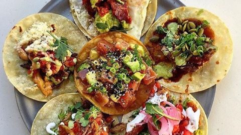 Hungry Woman Crowdfunds for a Taco Binge