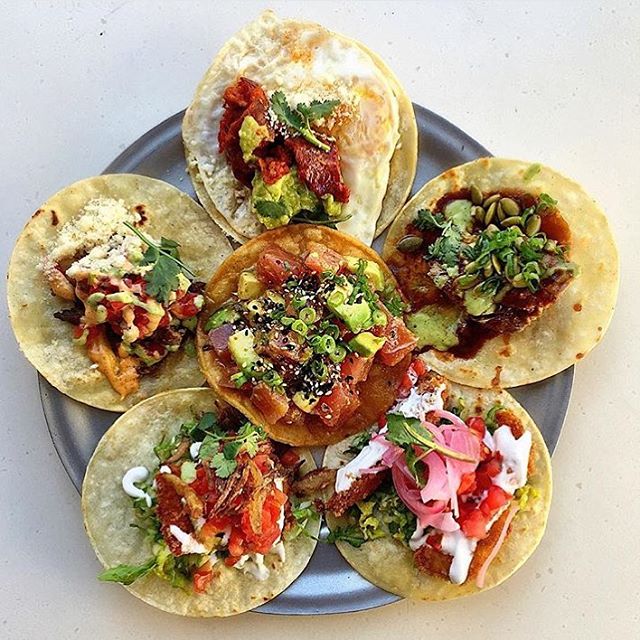 Hungry Woman Crowdfunds for a Taco Binge