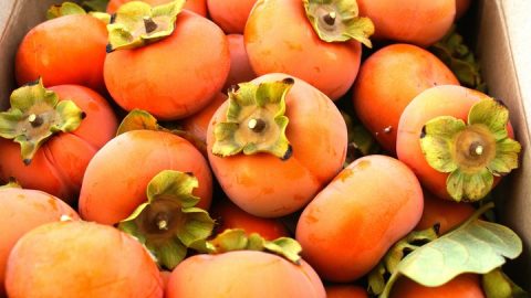 persimmons