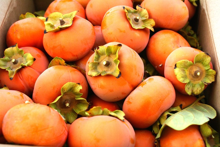 persimmons