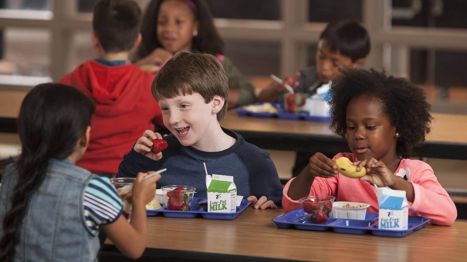 free school lunch