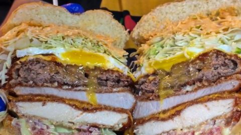 mount fuji katsu burger