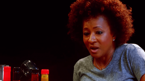 wanda sykes