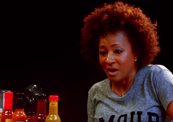 wanda sykes