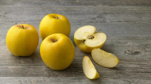 non-gmo non-browning apple