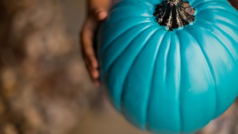 teal pumpkins