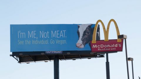 peta trolls fast food