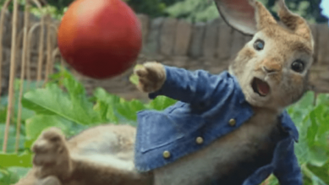 peter rabbit