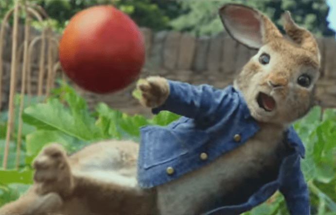 peter rabbit