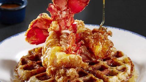 lobster and waffles