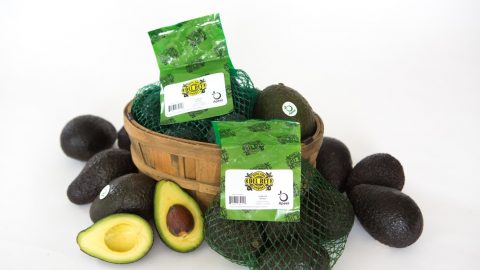 costco avocados