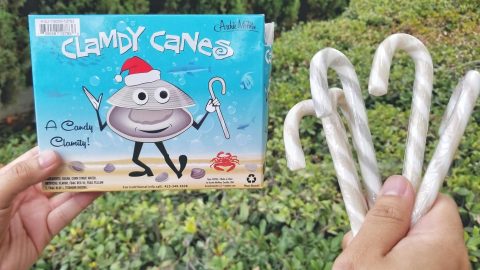 clamdy canes