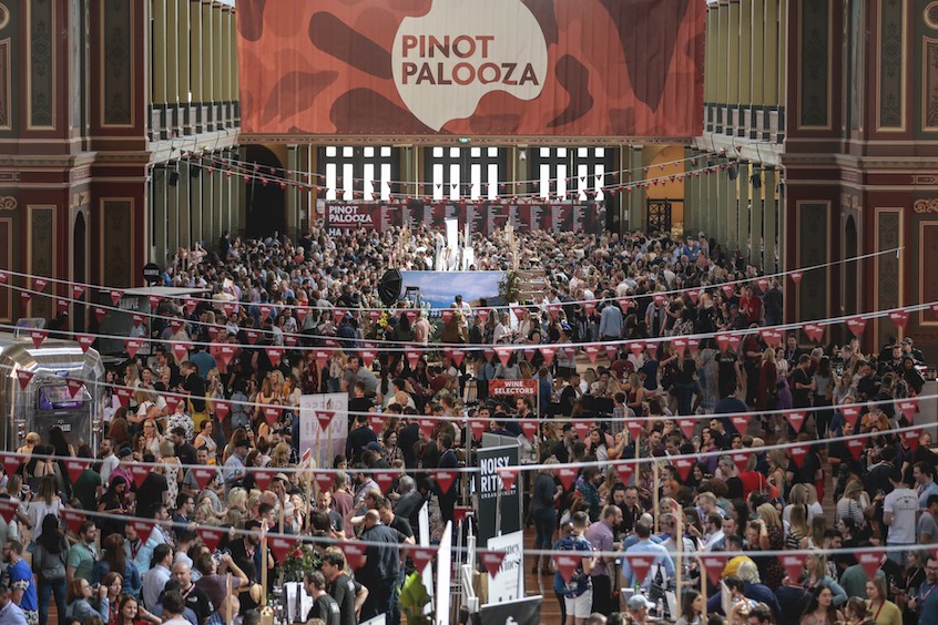 Pinot-Palooza