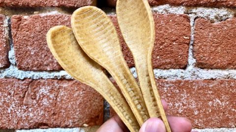 compost spoons