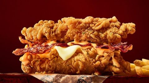 kfc double down