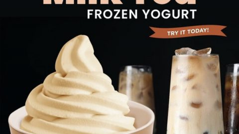 Yogurtland Milk Tea Frozen Yogurt