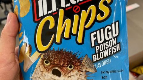 Fugu Illegal Chips