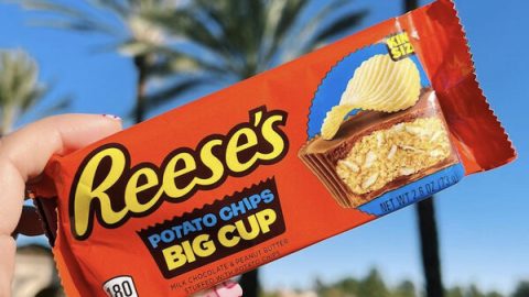 Reese's Potato Chips Big Cup