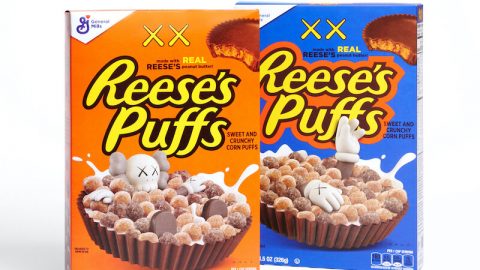 Reese's Puffs x KAWS