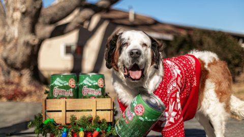 Saint Bernard Beer Delivery