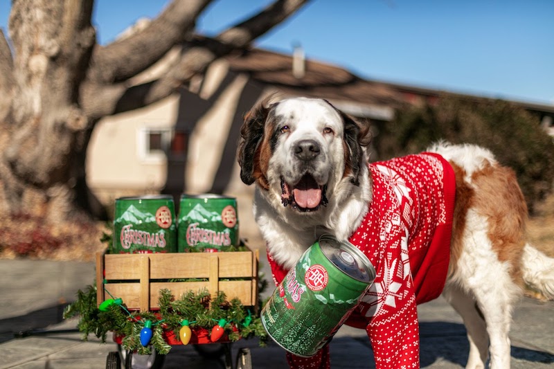 Saint Bernard Beer Delivery